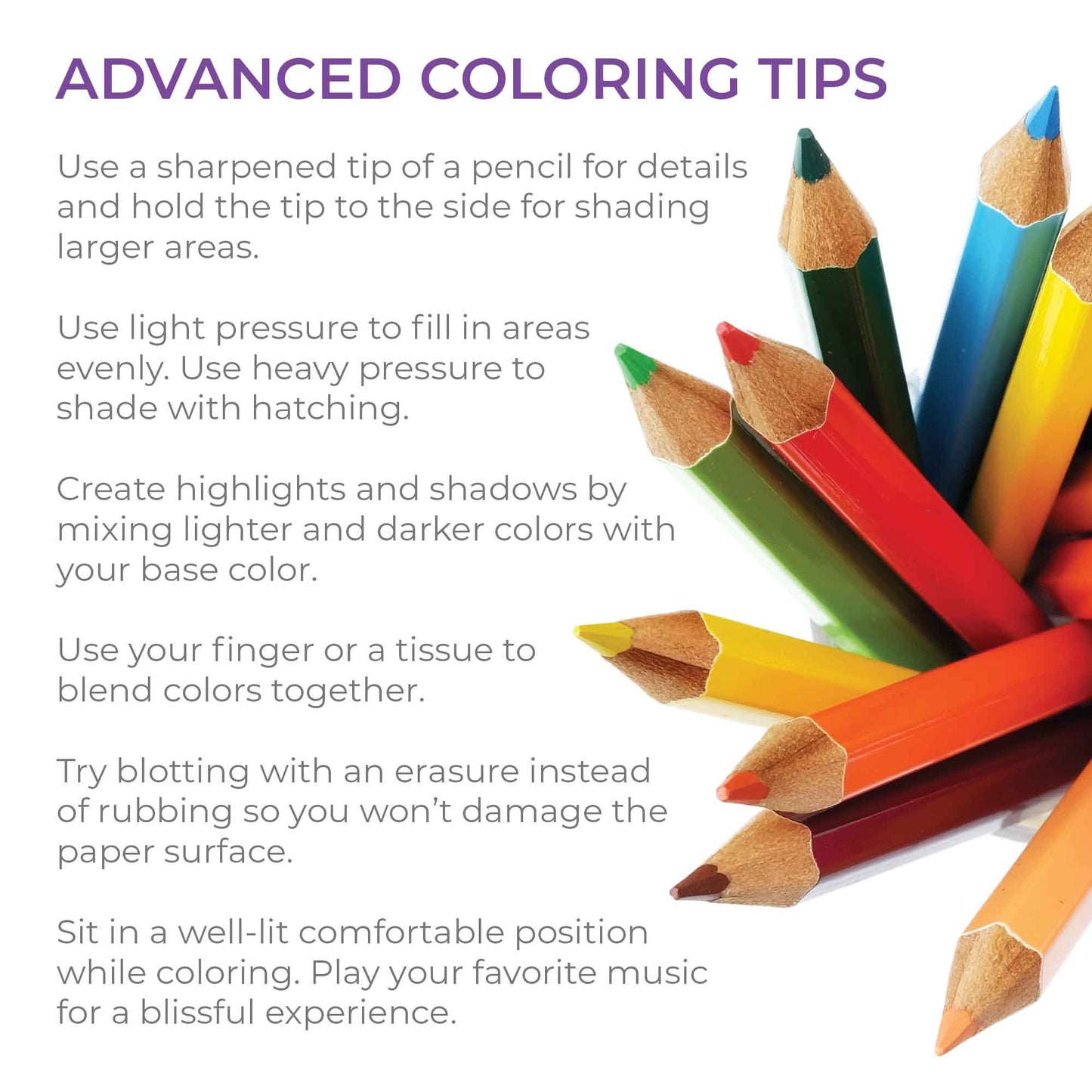 Richmond Till I Dyes Colored Pencil Set for Fans of Lasso
