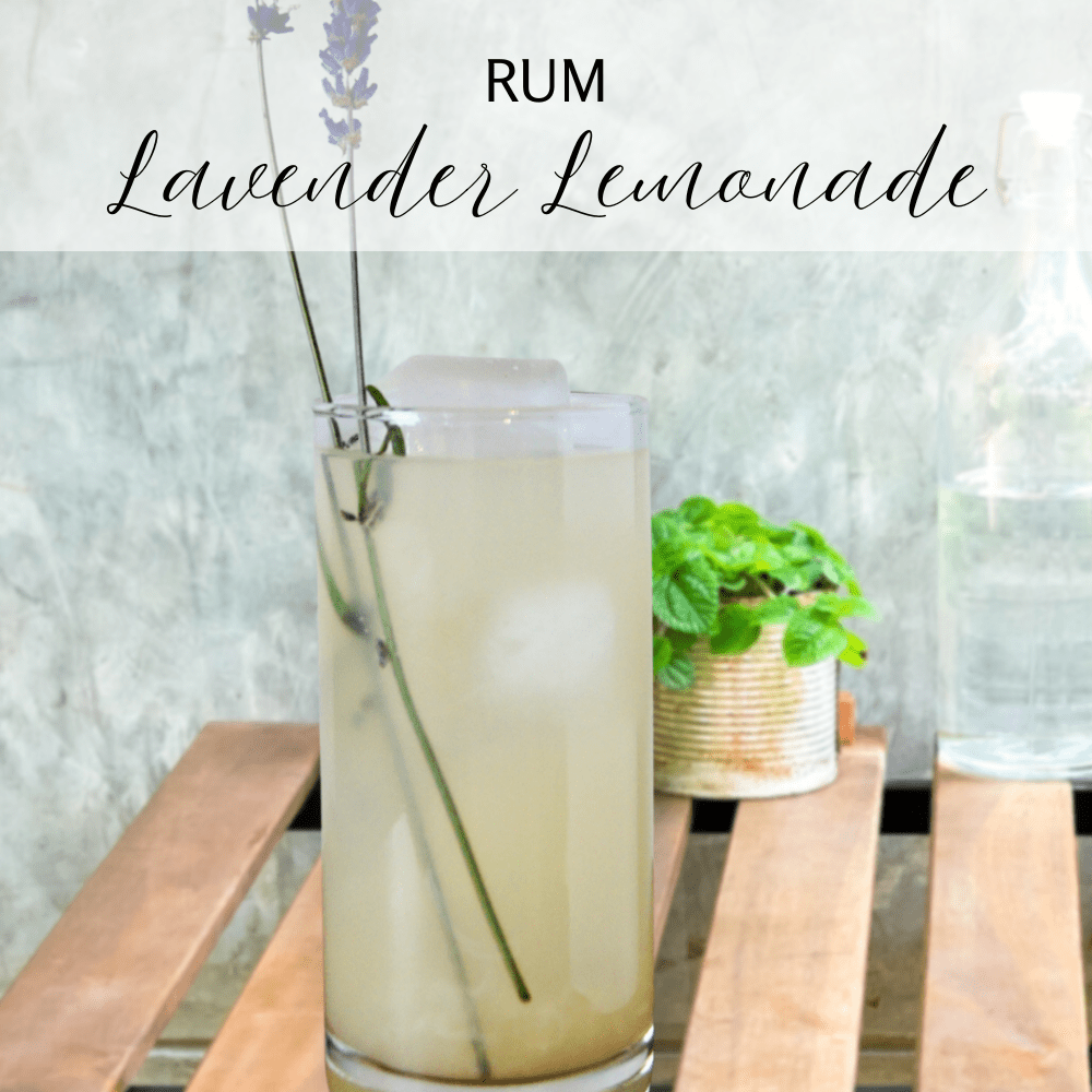 Lemon Gin Fizz infusion kit - Lemon + Lavender