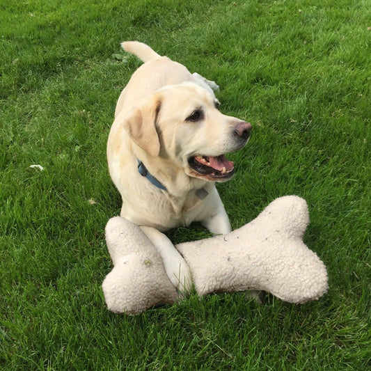 Dog with sherpa bone toy
