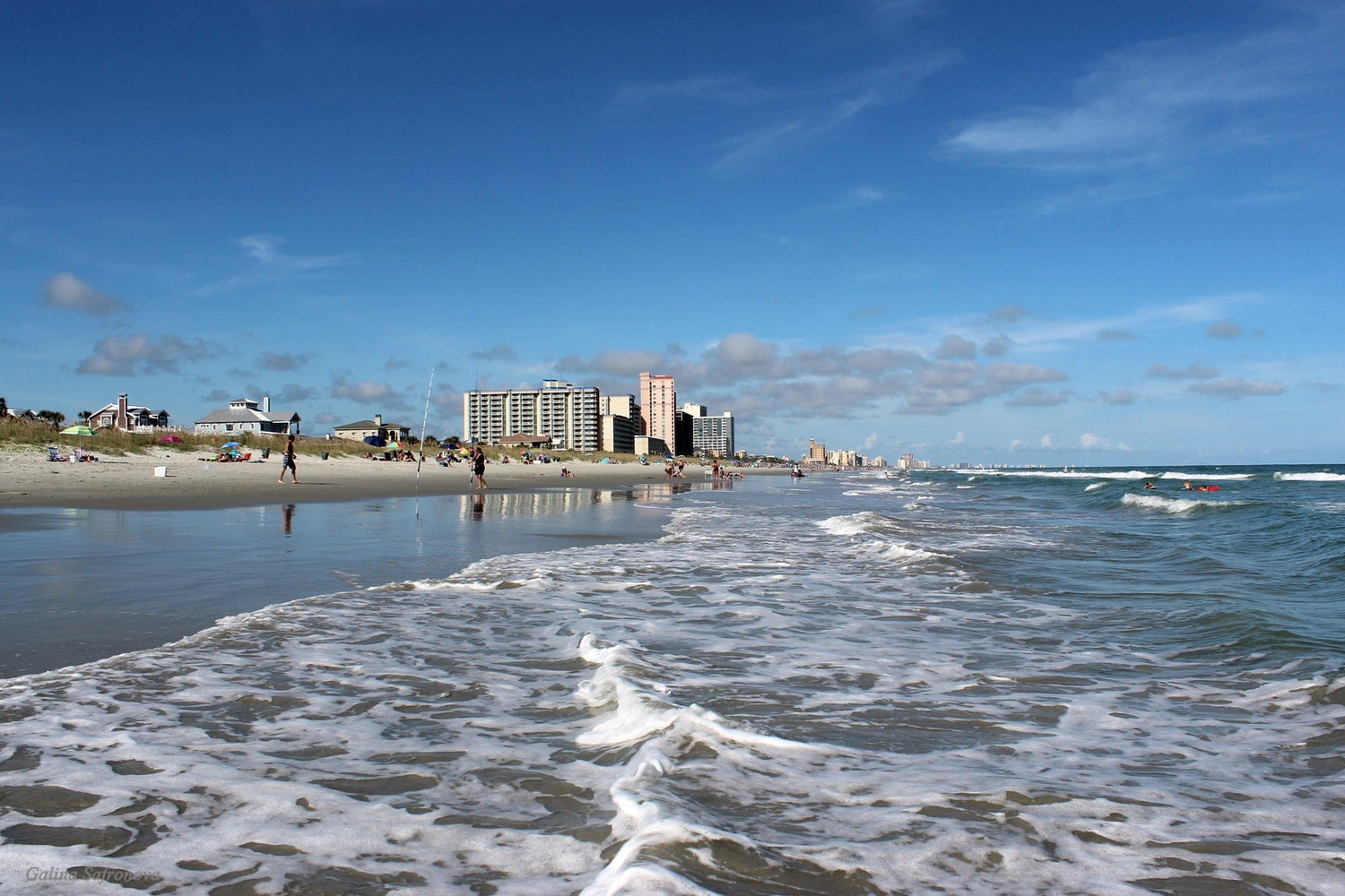 Coastal South Carolina