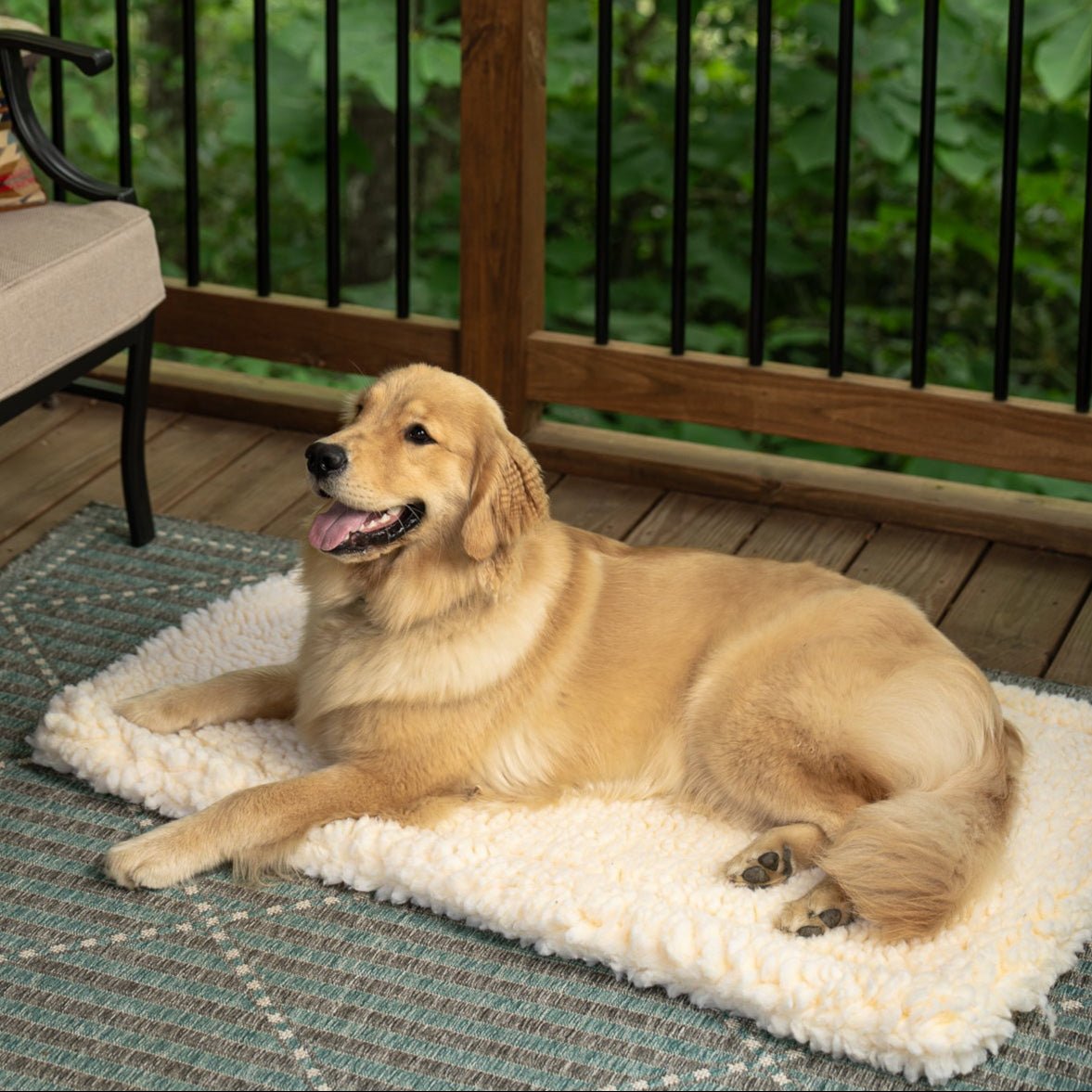 Carolina Pet Company