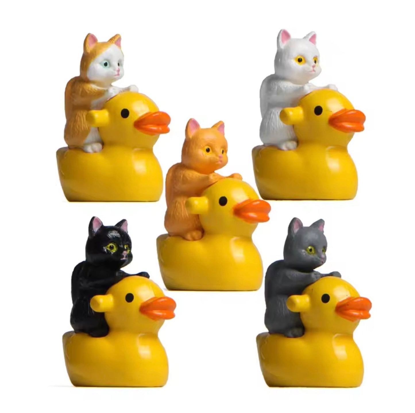 Cats Riding Ducks | Set of 5