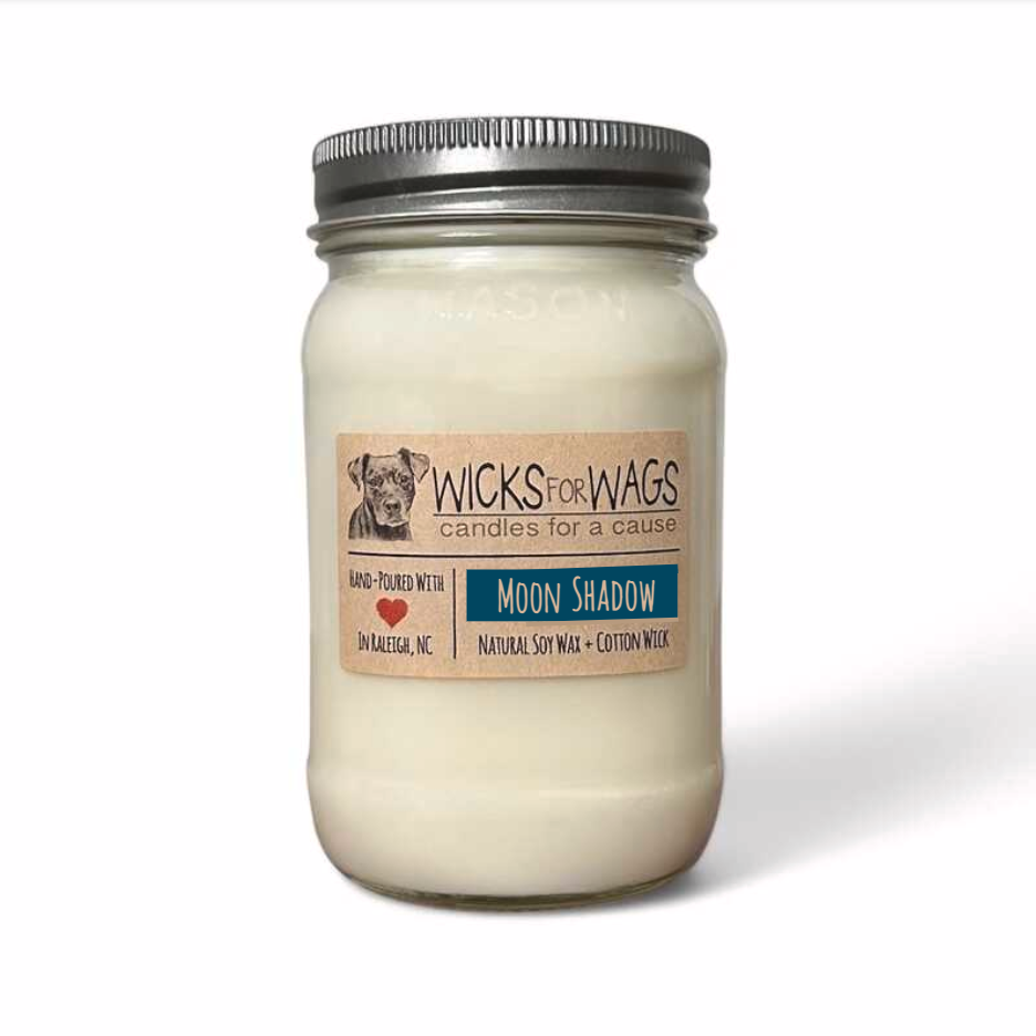 Moon Shadow | Large Mason Jar