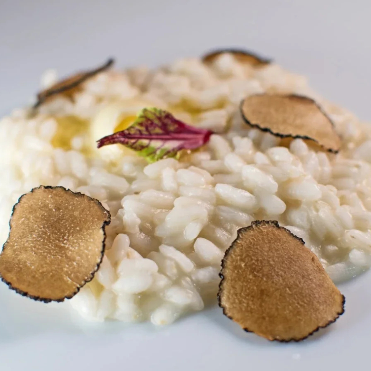 Truffle Risotto