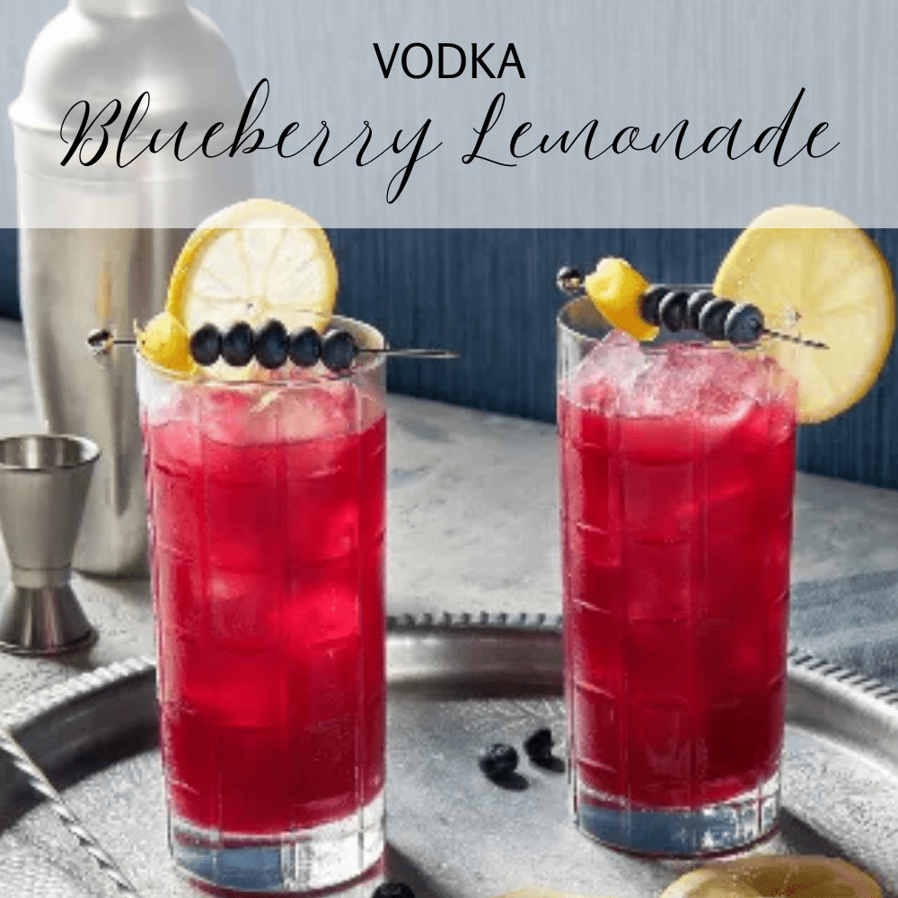 Berry Genteel infusion kit - Blueberry+Lemon