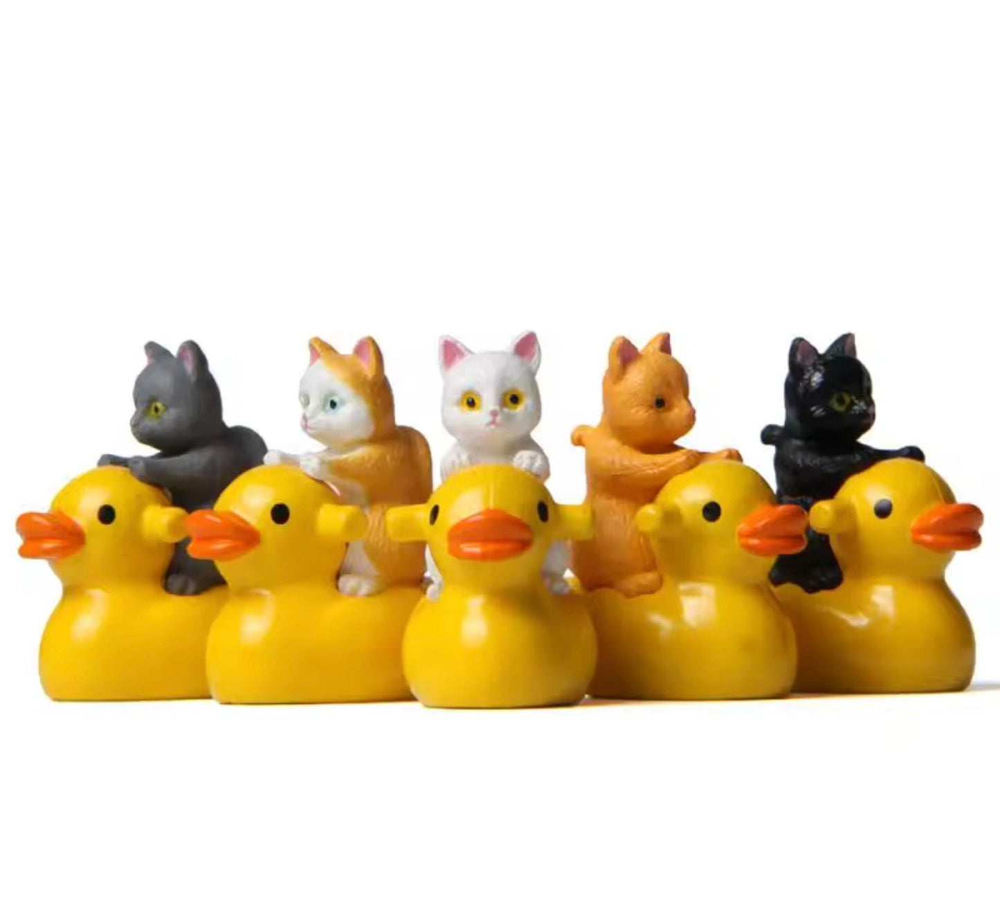 Cats Riding Ducks | Set of 5