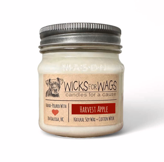 Harvest Apple| 8 oz Mason Jar