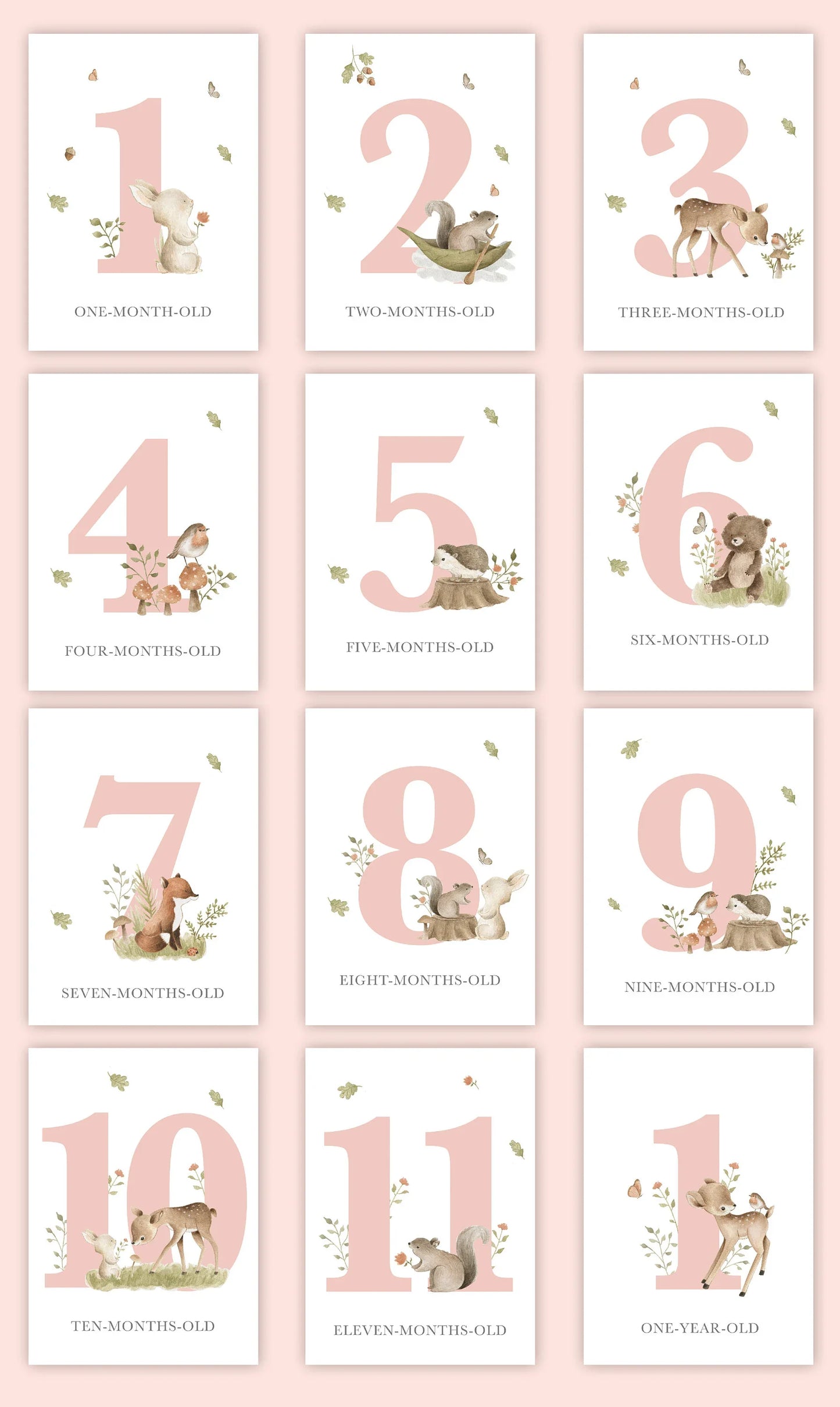 Baby Bundles: Beyond Measure #1 (Take Home Box) - Newborn Girl - Include 5 YR Memory Book