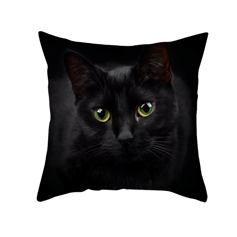 Black Cat Decorative Throw Pillow Cover