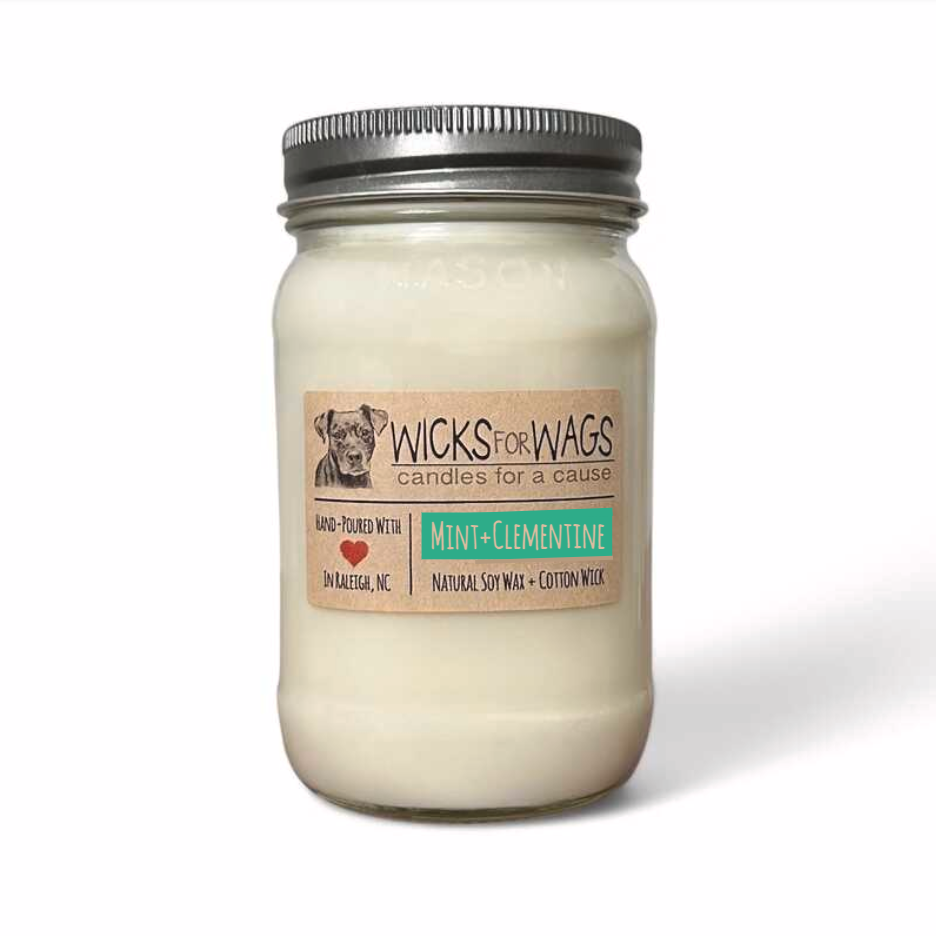 Mint + Clemintine | Large Mason Jar