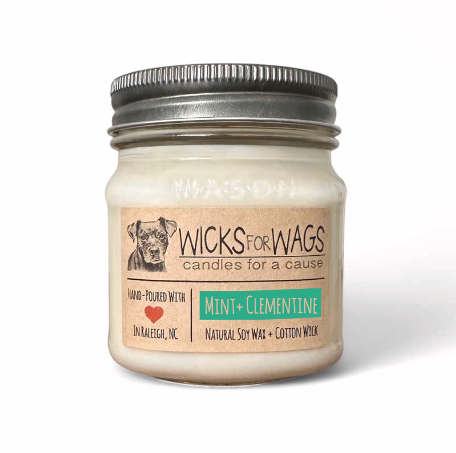 Mint + Clementine | 8oz Mason Jar