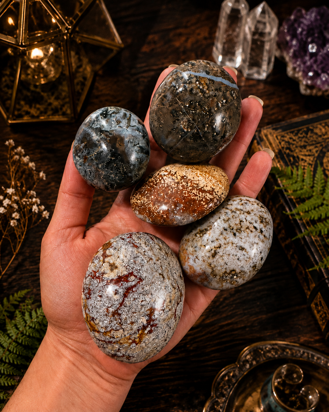 Ocean Jasper Palmstones