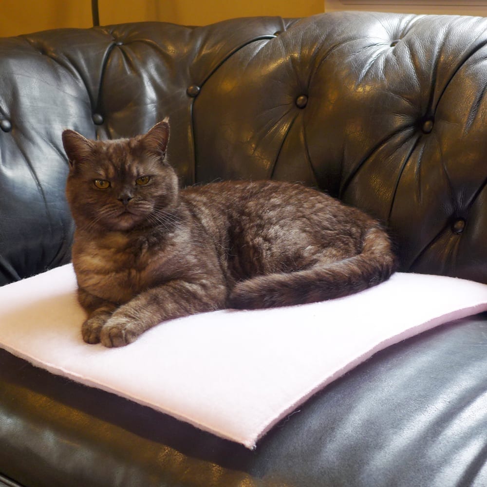 PurrPadd® Cat Bed