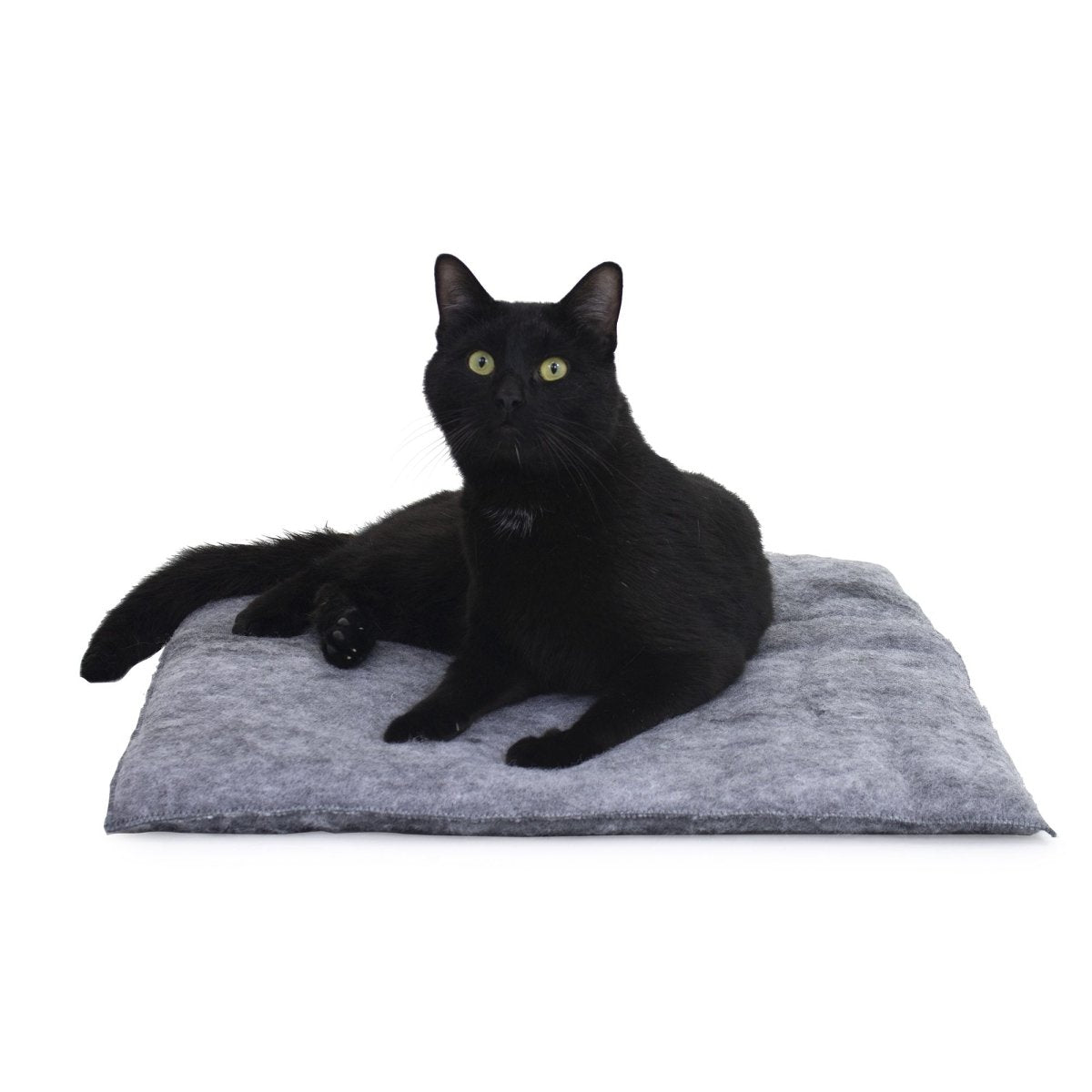 PurrPadd® Cat Bed