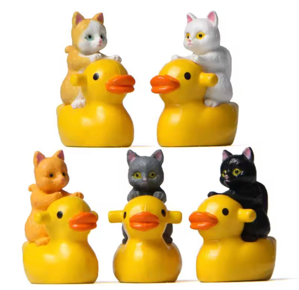 Cats Riding Ducks | Set of 5