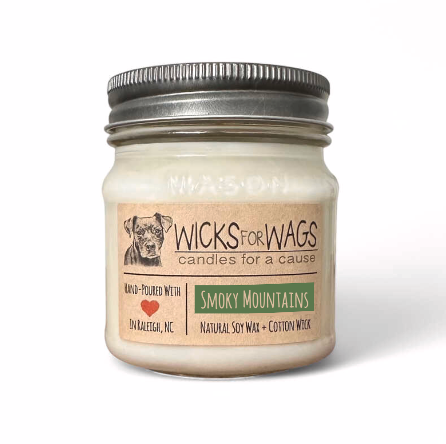 Smoky Mountains | 8oz Mason Jar
