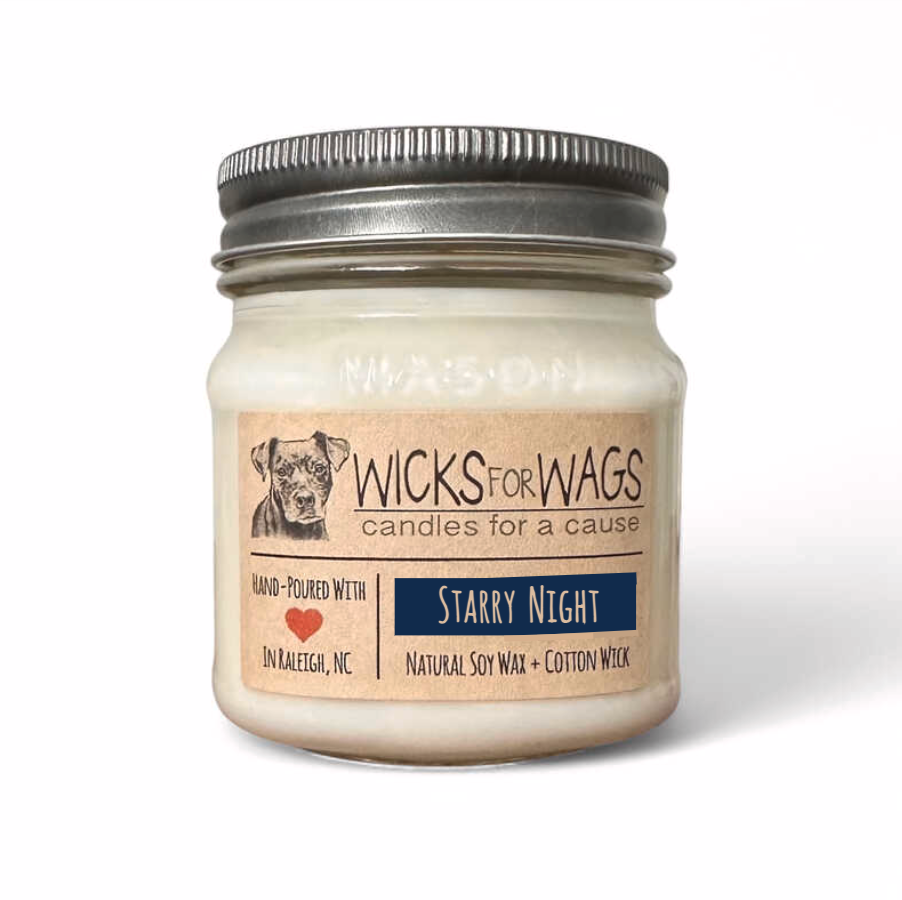 Starry Night | 8oz Mason Jar
