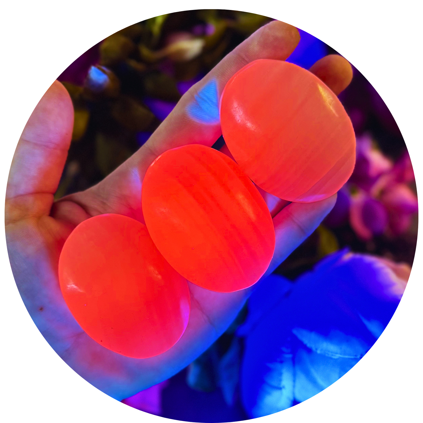 Pink Calcite Palm Stones, UV Reactive, Glows Pink, Fluorescent Minerals